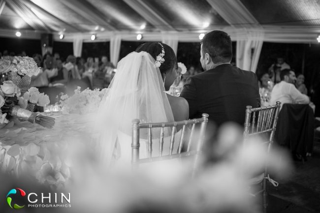 Wedding Reception Boone Hall Oasis