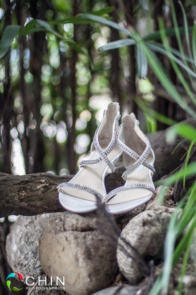 The Shoes - Terra Nova Wedding