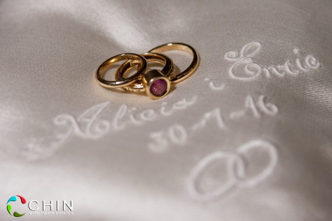 The Rings Enric and Alicia Terra Nova Wedding